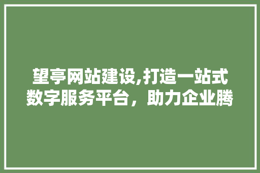 望亭网站建设,打造一站式数字服务平台，助力企业腾飞