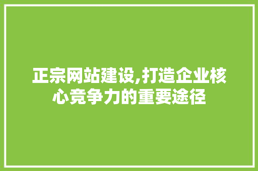 正宗网站建设,打造企业核心竞争力的重要途径