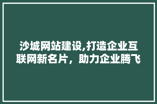 沙城网站建设,打造企业互联网新名片，助力企业腾飞
