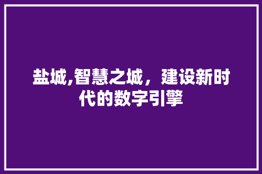 盐城,智慧之城，建设新时代的数字引擎