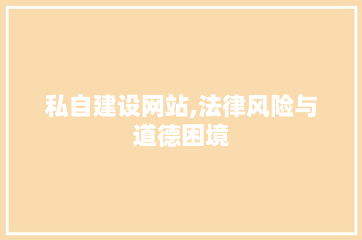 私自建设网站,法律风险与道德困境