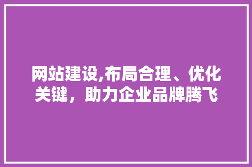 网站建设,布局合理、优化关键，助力企业品牌腾飞
