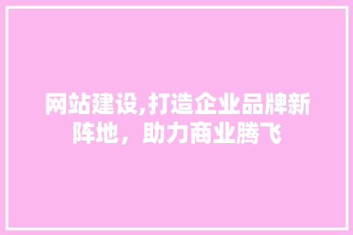 网站建设,打造企业品牌新阵地，助力商业腾飞
