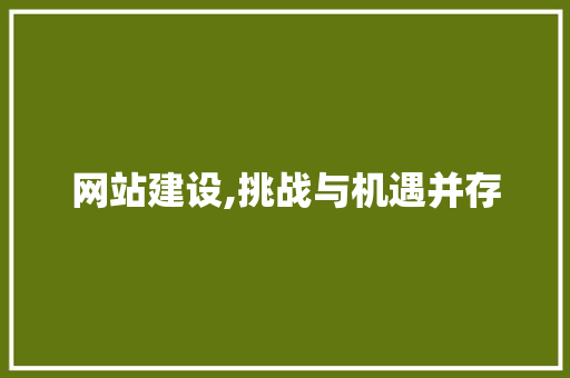 网站建设,挑战与机遇并存 响应式设计