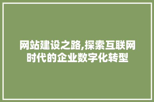 网站建设之路,探索互联网时代的企业数字化转型