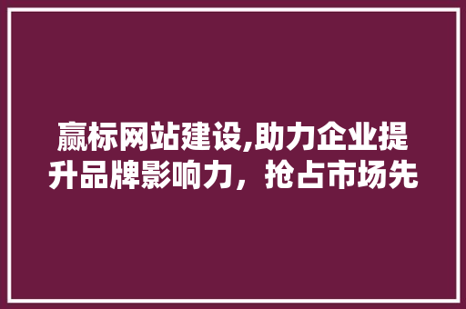 赢标网站建设,助力企业提升品牌影响力，抢占市场先机 响应式设计