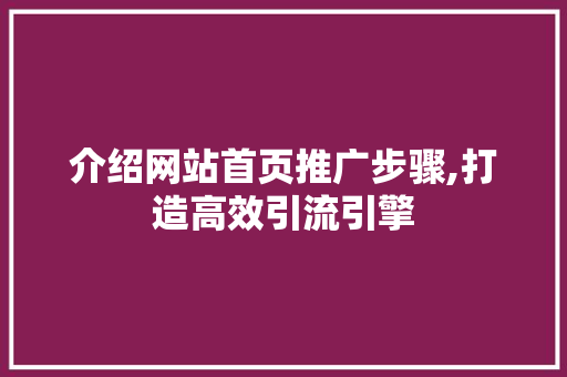 介绍网站首页推广步骤,打造高效引流引擎