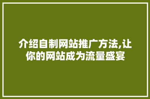 介绍自制网站推广方法,让你的网站成为流量盛宴 前端技术