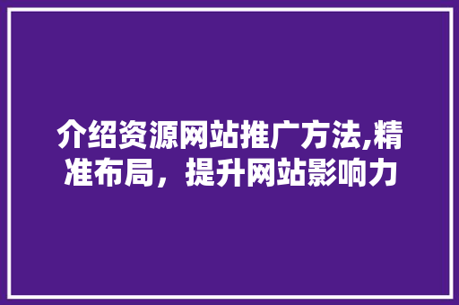 介绍资源网站推广方法,精准布局，提升网站影响力
