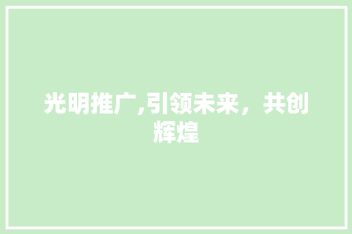 光明推广,引领未来，共创辉煌