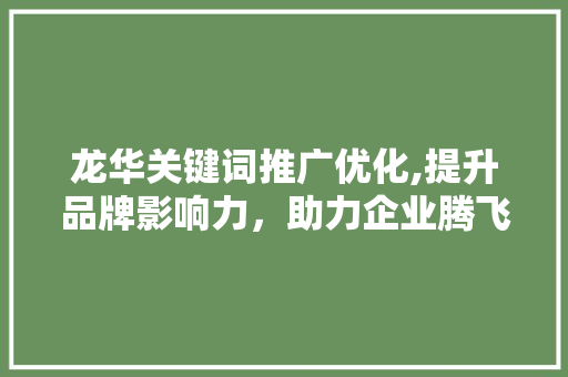 龙华关键词推广优化,提升品牌影响力，助力企业腾飞