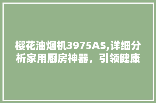樱花油烟机3975AS,详细分析家用厨房神器，引领健康生活新潮流