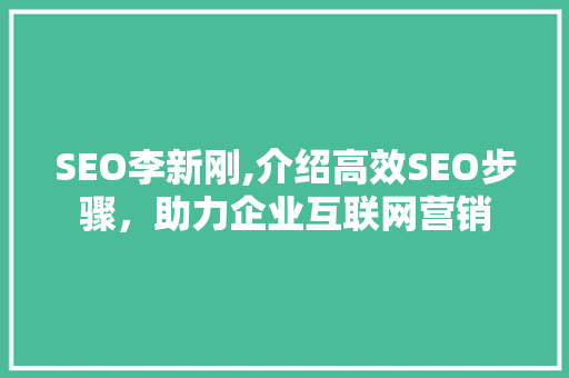 SEO李新刚,介绍高效SEO步骤，助力企业互联网营销
