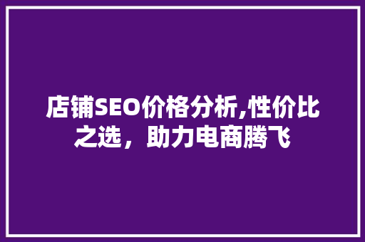 店铺SEO价格分析,性价比之选，助力电商腾飞