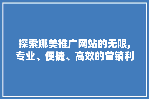 探索娜美推广网站的无限,专业、便捷、高效的营销利器