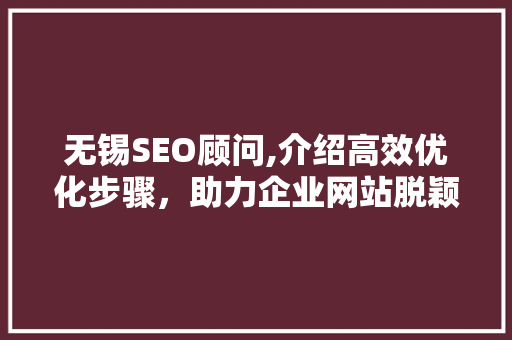 无锡SEO顾问,介绍高效优化步骤，助力企业网站脱颖而出