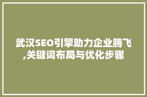 武汉SEO引擎助力企业腾飞,关键词布局与优化步骤