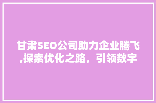 甘肃SEO公司助力企业腾飞,探索优化之路，引领数字营销新风尚