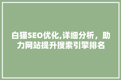 白猫SEO优化,详细分析，助力网站提升搜索引擎排名