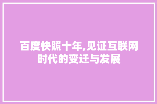 百度快照十年,见证互联网时代的变迁与发展