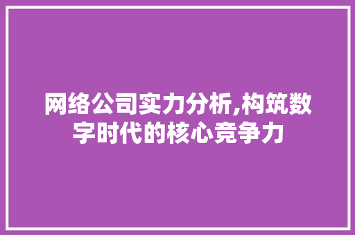 网络公司实力分析,构筑数字时代的核心竞争力