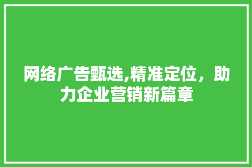 网络广告甄选,精准定位，助力企业营销新篇章