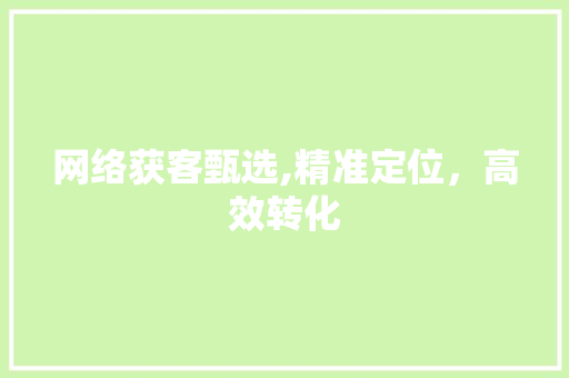 网络获客甄选,精准定位，高效转化