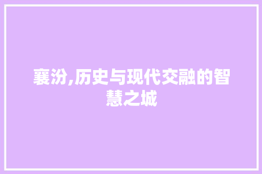 襄汾,历史与现代交融的智慧之城