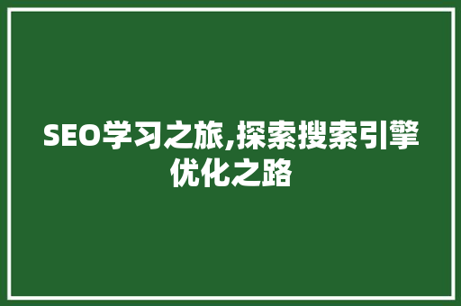 SEO学习之旅,探索搜索引擎优化之路