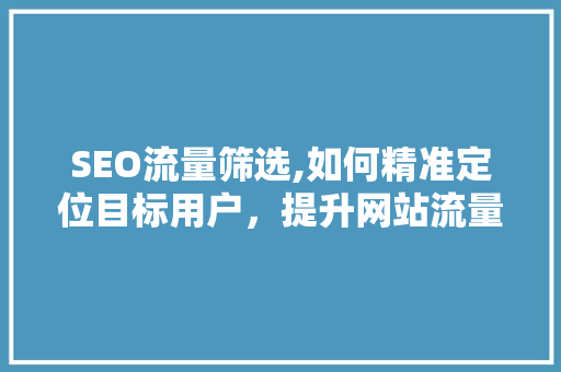 SEO流量筛选,如何精准定位目标用户，提升网站流量