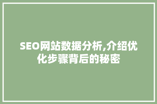 SEO网站数据分析,介绍优化步骤背后的秘密