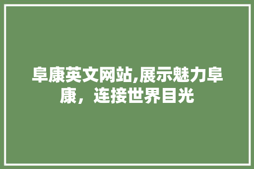阜康英文网站,展示魅力阜康，连接世界目光