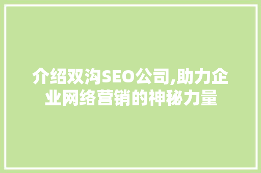介绍双沟SEO公司,助力企业网络营销的神秘力量