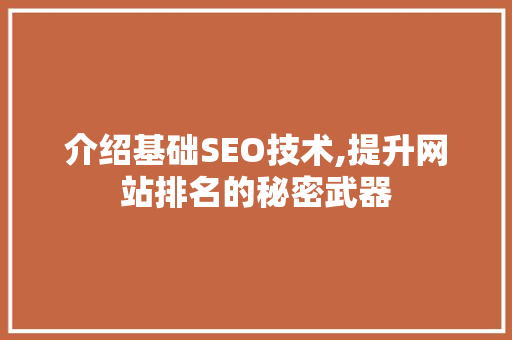 介绍基础SEO技术,提升网站排名的秘密武器