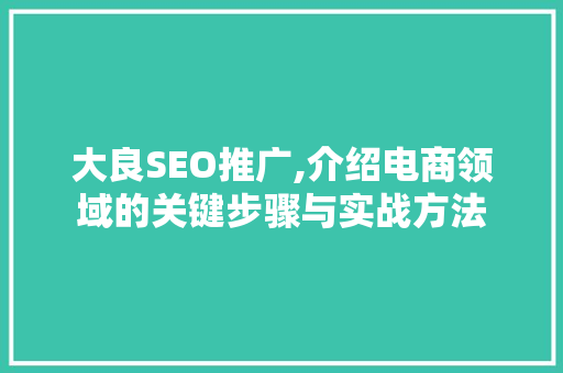 大良SEO推广,介绍电商领域的关键步骤与实战方法 前端技术