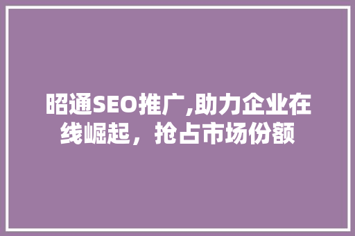 昭通SEO推广,助力企业在线崛起，抢占市场份额