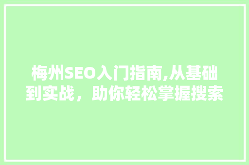 梅州SEO入门指南,从基础到实战，助你轻松掌握搜索引擎优化方法