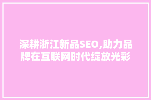 深耕浙江新品SEO,助力品牌在互联网时代绽放光彩