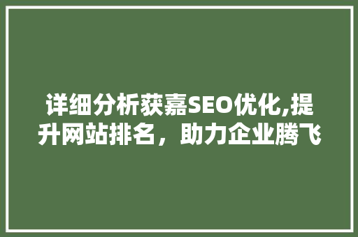 详细分析获嘉SEO优化,提升网站排名，助力企业腾飞