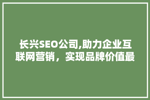 长兴SEO公司,助力企业互联网营销，实现品牌价值最大化