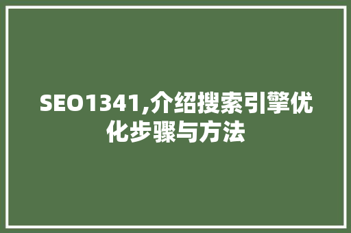 SEO1341,介绍搜索引擎优化步骤与方法