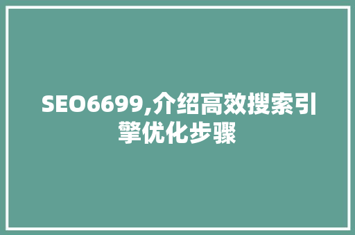 SEO6699,介绍高效搜索引擎优化步骤