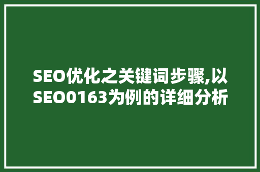 SEO优化之关键词步骤,以SEO0163为例的详细分析