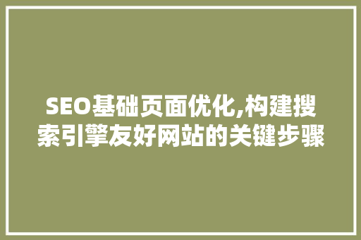 SEO基础页面优化,构建搜索引擎友好网站的关键步骤