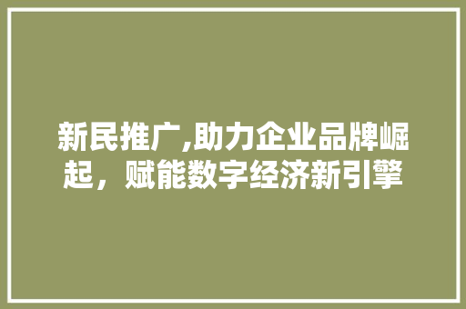 新民推广,助力企业品牌崛起，赋能数字经济新引擎