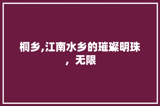桐乡,江南水乡的璀璨明珠，无限