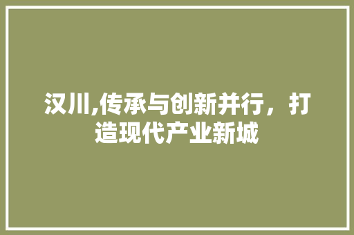 汉川,传承与创新并行，打造现代产业新城