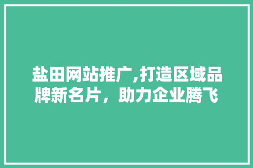 盐田网站推广,打造区域品牌新名片，助力企业腾飞