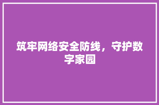 筑牢网络安全防线，守护数字家园