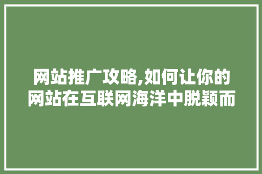 网站推广攻略,如何让你的网站在互联网海洋中脱颖而出